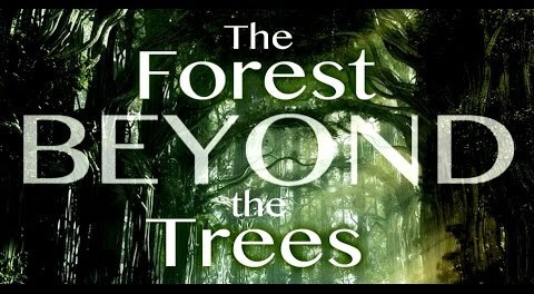 The Forest Beyond The Trees: What Is Judaism's Bottom Line?