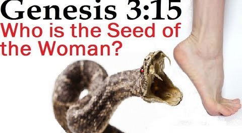 GENESIS 3:15  WHO IS THE SEED OF THE WOMAN